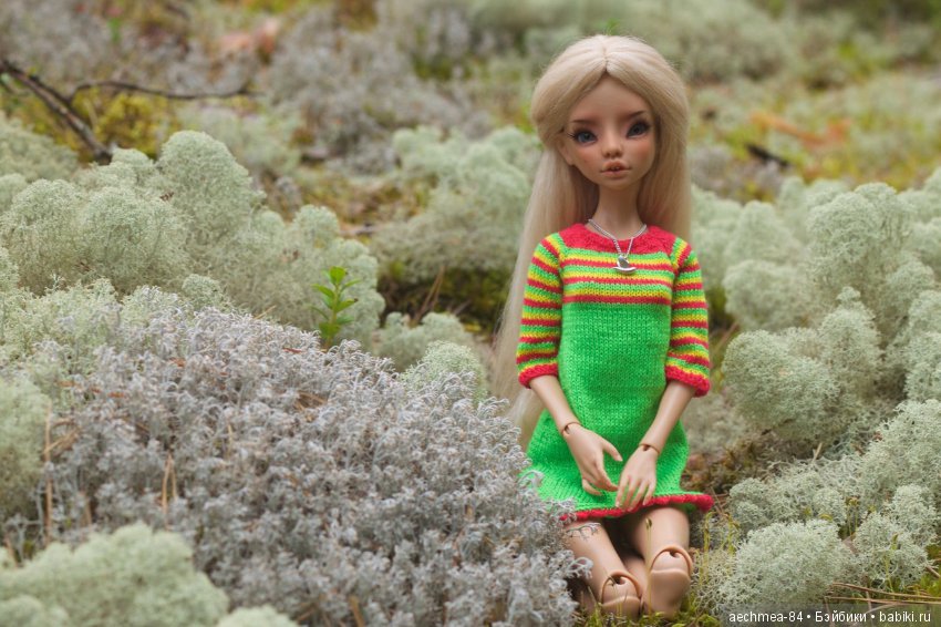 Лесная красавица - Миоки от Татьяны Трифоновой (фото 4)