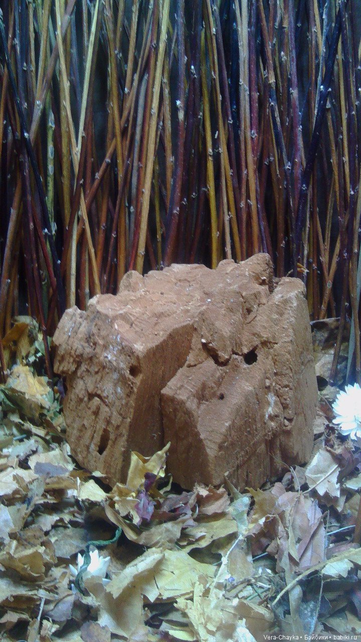 Лесная коллекция. "День" — Фэшн