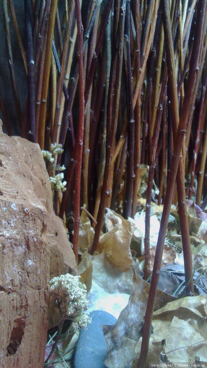 Лесная коллекция. "День" — Фэшн