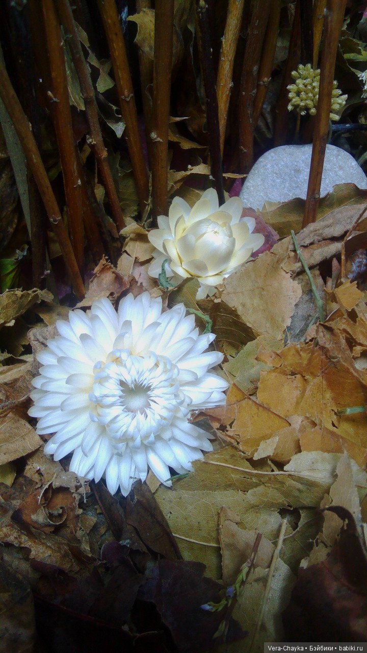 Лесная коллекция. "День" — Фэшн