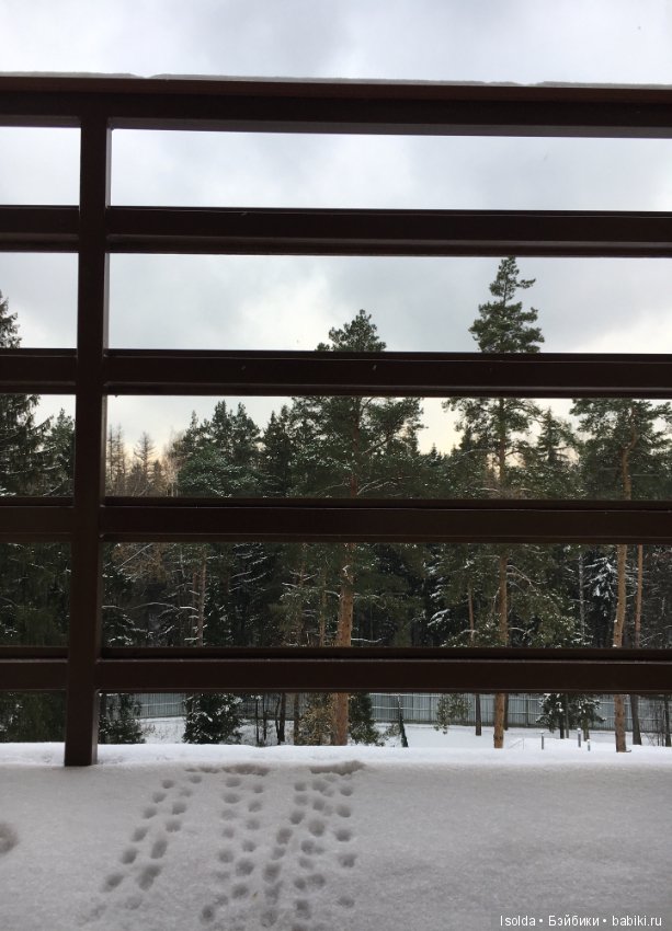 Чем заняться в ноябре? Ликка Takara развлекается