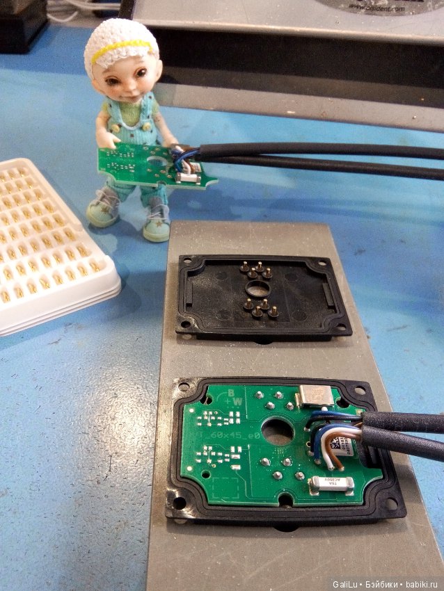 Бывает ли Шеф некусачий — Болталка и разговоры обо всем: жизнь (фото 4)