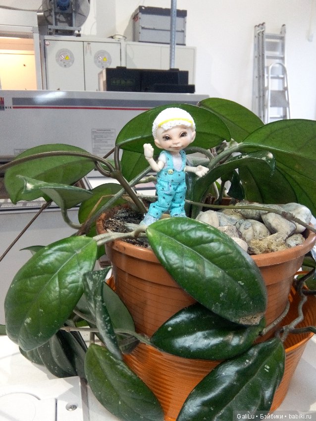 Бывает ли Шеф некусачий — Болталка и разговоры обо всем: жизнь (фото 3)