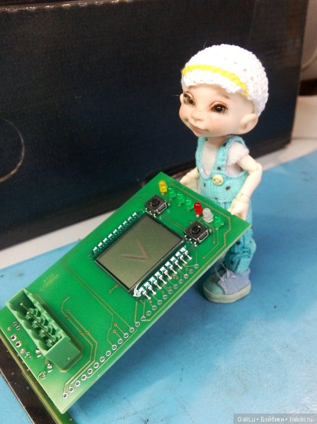 Бывает ли Шеф некусачий — Болталка и разговоры обо всем: жизнь