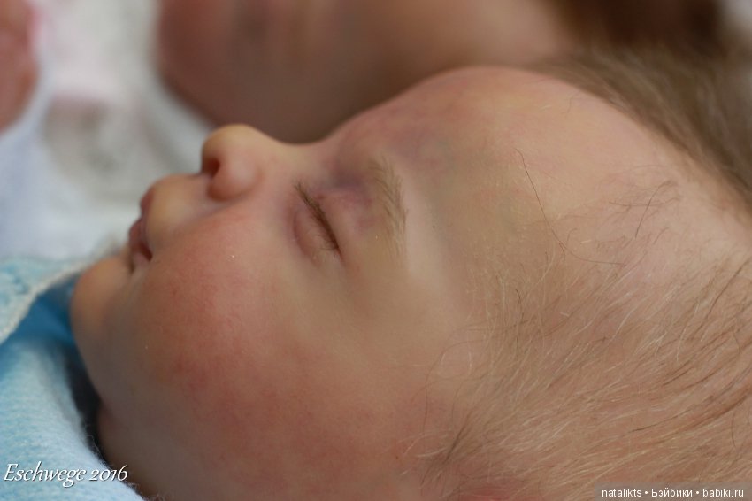 Фоторепортаж с выставки Eschwege 2016