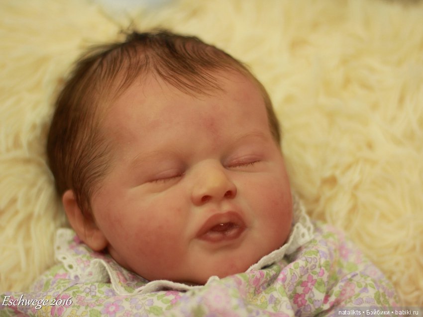 Фоторепортаж с выставки Eschwege 2016 (фото 4)