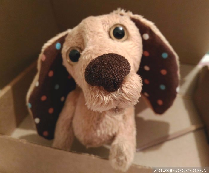 Пёсик с очень выразительными глазками. Игрушка ручной работы (фото 3)