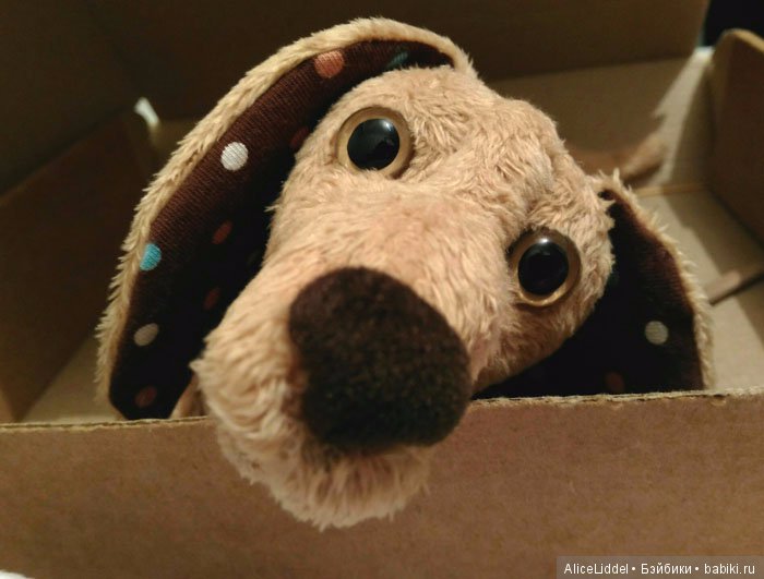 Пёсик с очень выразительными глазками. Игрушка ручной работы (фото 2)