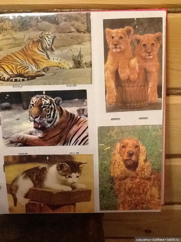 Я к Вам с открытым письмом или просто напросто с открыткой))) Часть 1