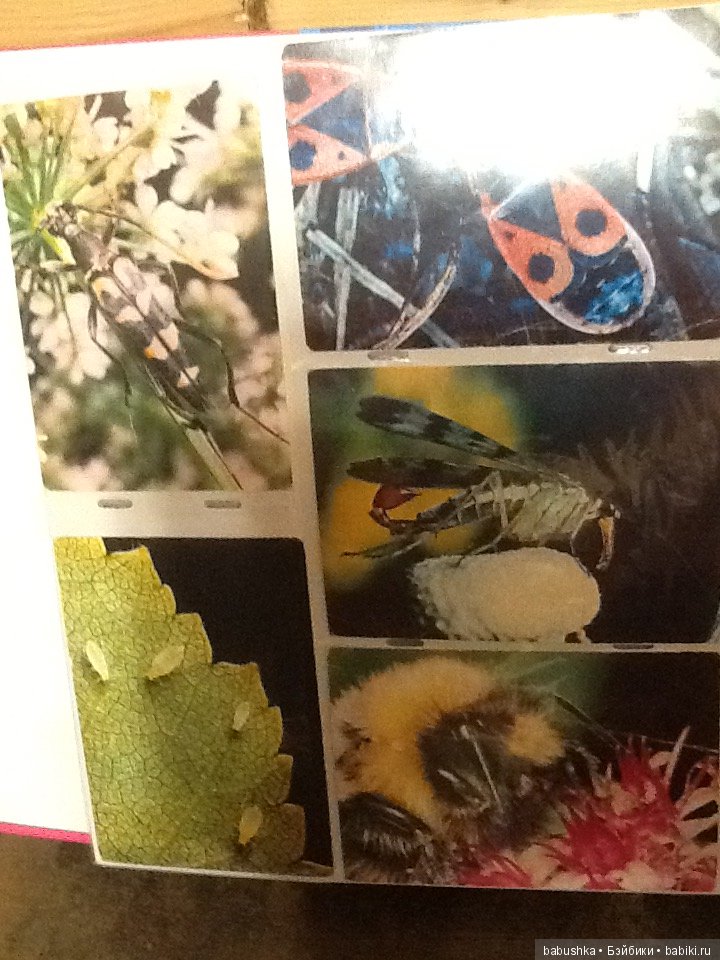 Я к Вам с открытым письмом или просто напросто с открыткой))) Часть 1