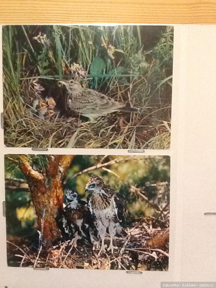 Я к Вам с открытым письмом или просто напросто с открыткой))) Часть 1