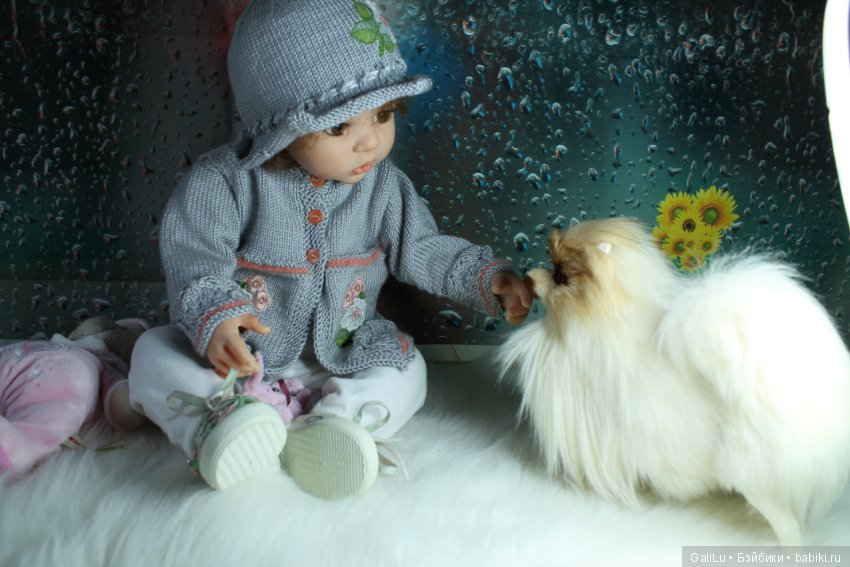 Каролина от Hildegard Guenzel с новым домочадцем (фото 4)