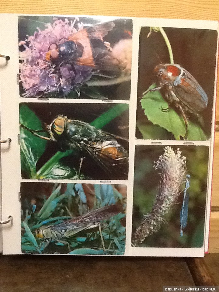 Я к Вам с открытым письмом или просто напросто с открыткой))) Часть 1