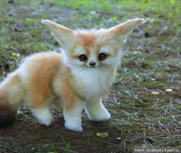 Сказочные существа и не только Lee Cross (фото 6)