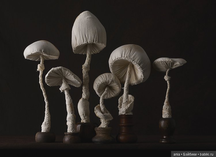 Творчество Mister Finch — Текстильные игрушки и примитивы: кофейные