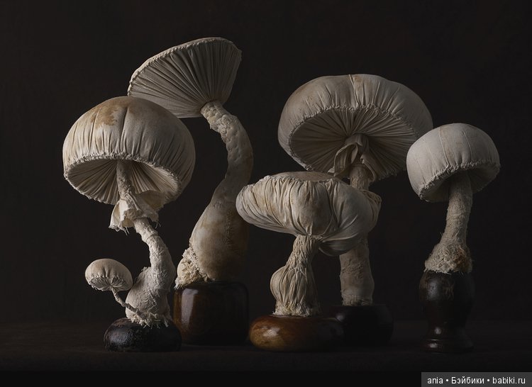 Творчество Mister Finch — Текстильные игрушки и примитивы: кофейные