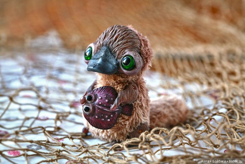 Авторские работы Oso Pollar