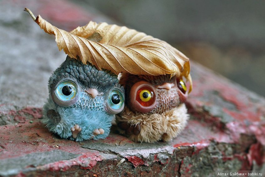 Авторские работы Oso Pollar (фото 5)