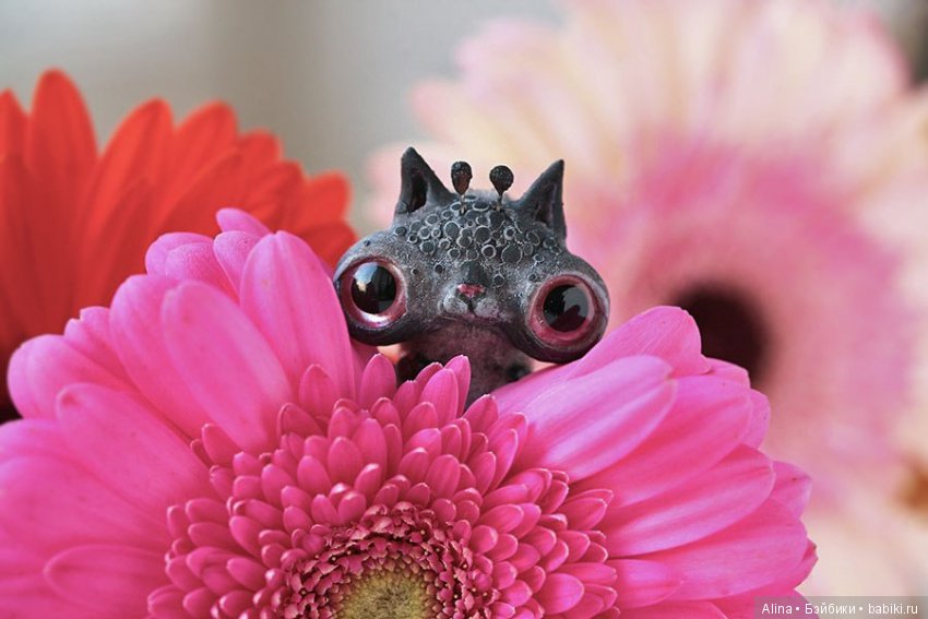 Авторские работы Oso Pollar