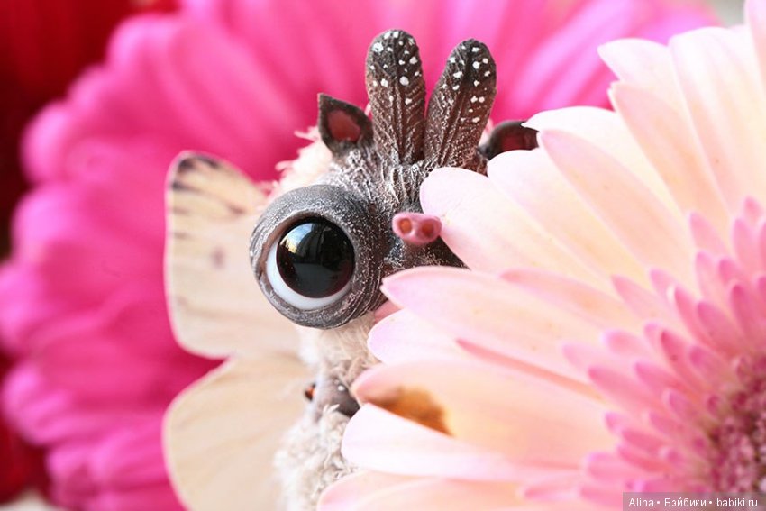 Авторские работы Oso Pollar