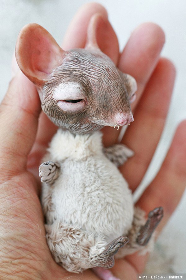 Авторские работы Oso Pollar