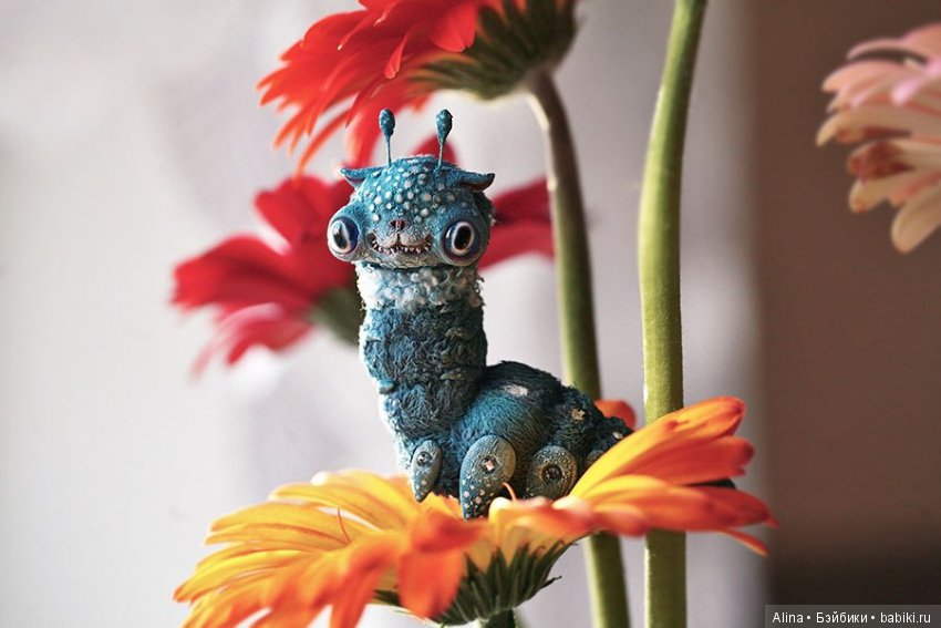 Авторские работы Oso Pollar