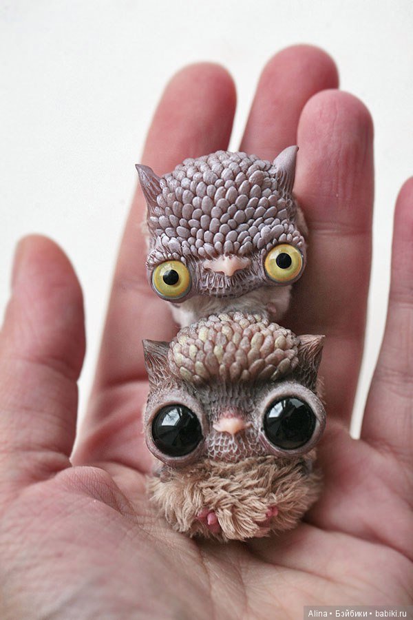 Авторские работы Oso Pollar