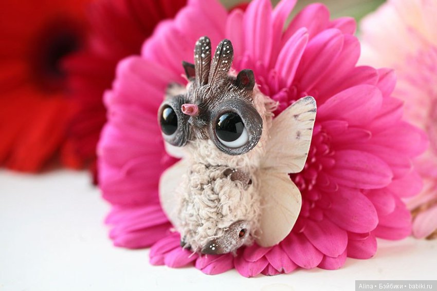 Авторские работы Oso Pollar