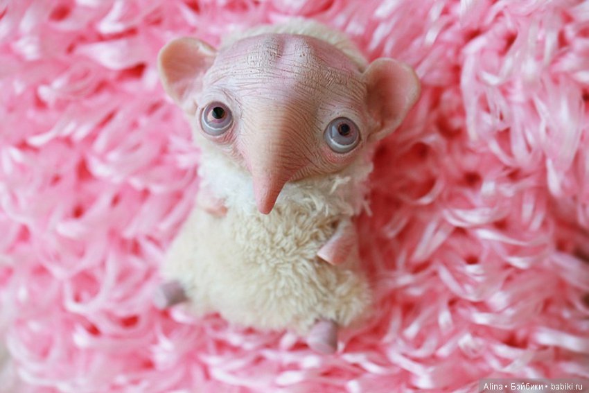 Авторские работы Oso Pollar