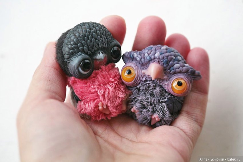 Авторские работы Oso Pollar