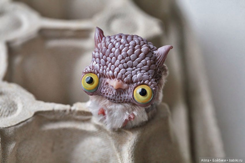 Авторские работы Oso Pollar