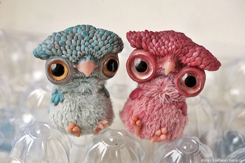 Авторские работы Oso Pollar