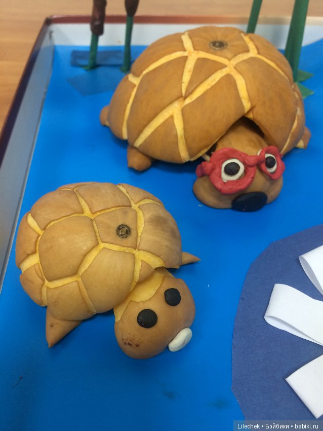 Дары осени — Другие хобби и увлечения: сад (фото 9)