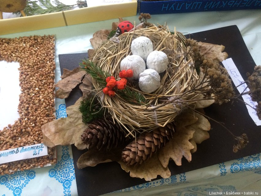 Дары осени — Другие хобби и увлечения: сад