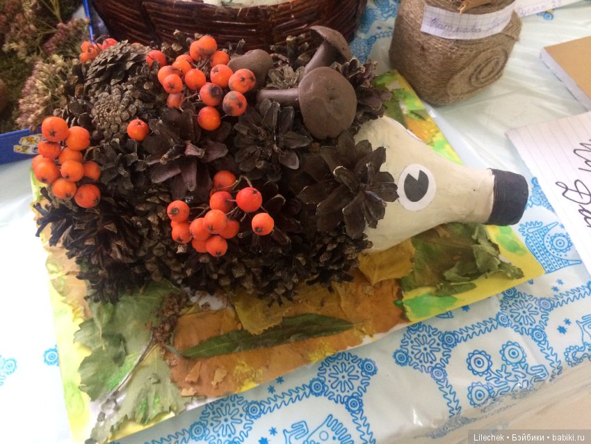 Дары осени — Другие хобби и увлечения: сад