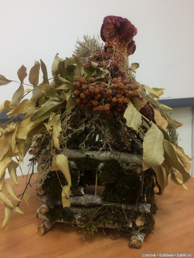 Дары осени — Другие хобби и увлечения: сад