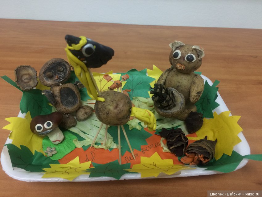 Дары осени — Другие хобби и увлечения: сад