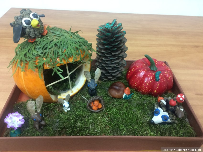 Дары осени — Другие хобби и увлечения: сад