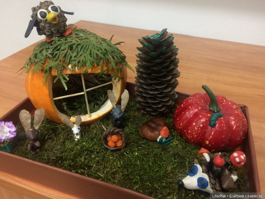 Дары осени — Другие хобби и увлечения: сад