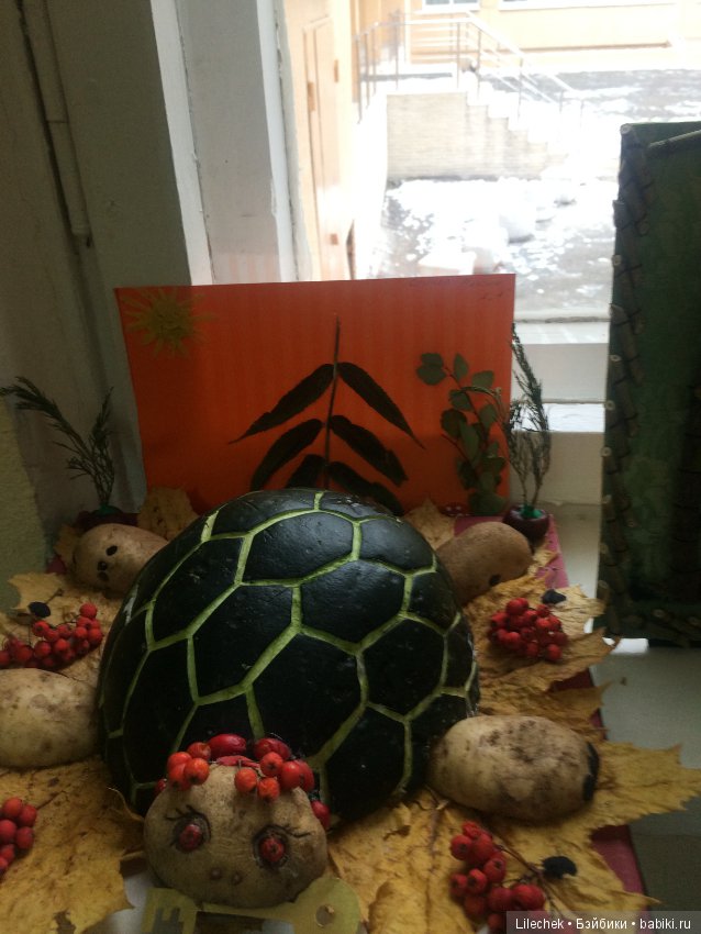 Дары осени — Другие хобби и увлечения: сад