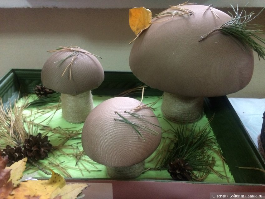 Дары осени — Другие хобби и увлечения: сад