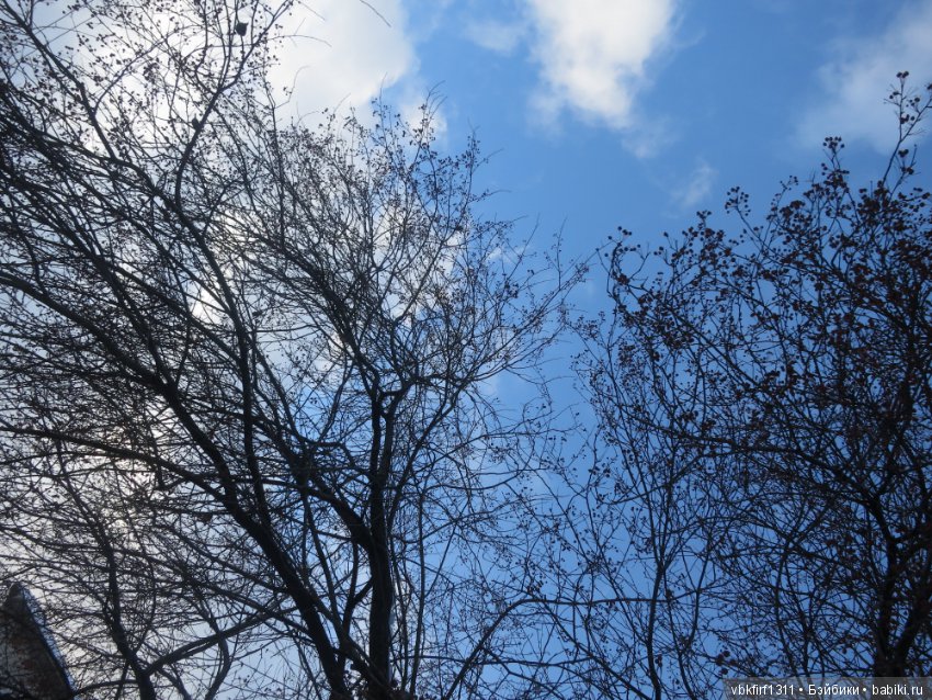 У природы нет плохой погоды -каждая погода благодать (фото 10)