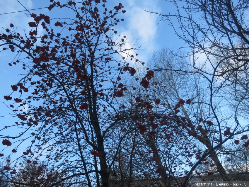 У природы нет плохой погоды -каждая погода благодать (фото 8)