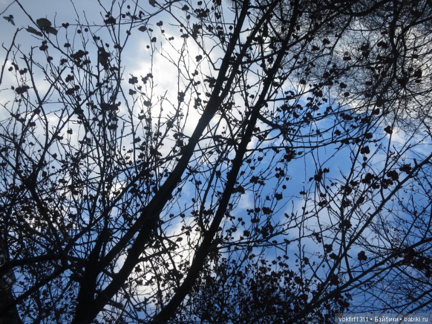 У природы нет плохой погоды -каждая погода благодать (фото 9)