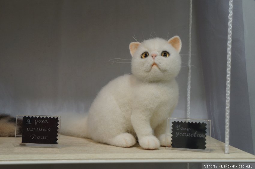 Hello, Teddy! Удивительные "живые" малыши в технике сухого валяния из шерсти. И как авторы украсили свои стенды в преддверии праздника