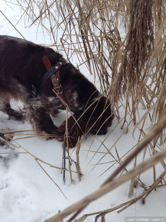 Почти Герда, небольшие переделки ООАК паолочки Норы
