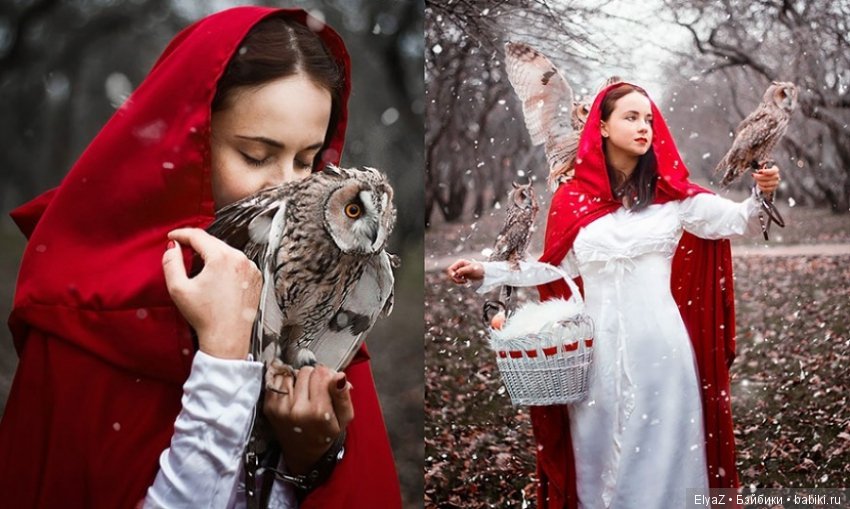 Мы с тобой - одной крови — Интересное и необычное: фотоподборки (фото 5)