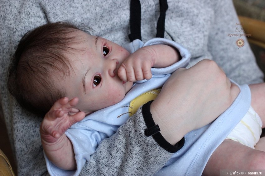 Мой япончик реборн Тадаши