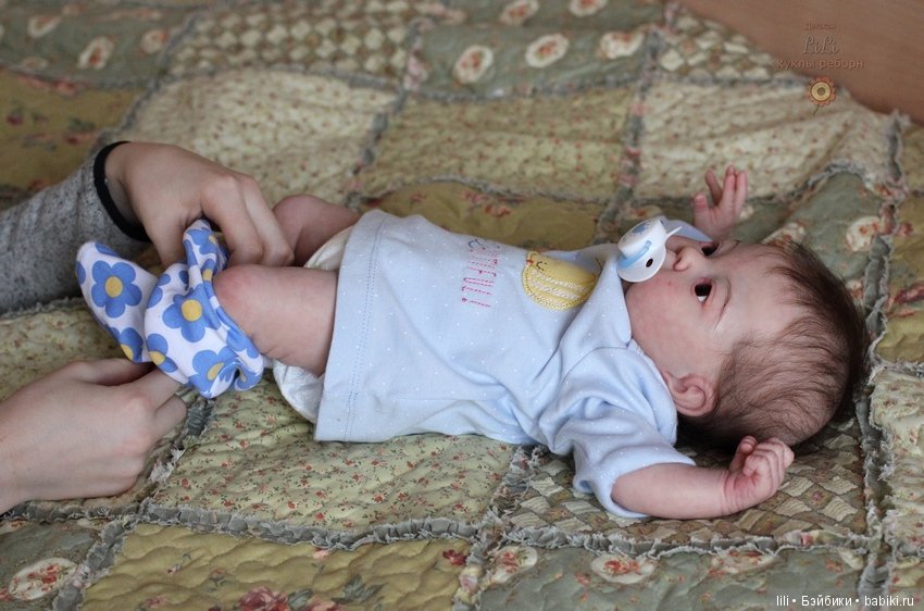 Мой япончик реборн Тадаши