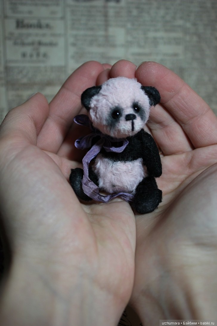 Черничная панда, мишка тедди